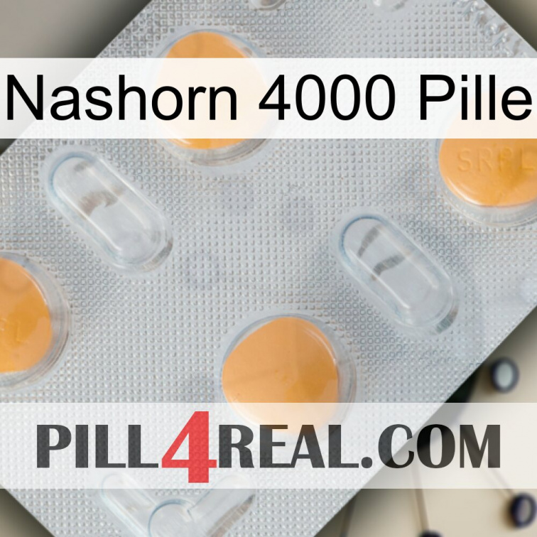 Rhino 4000 Pill 24